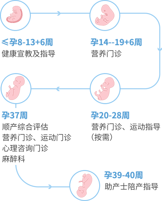 安琪儿顺产养成计划路径